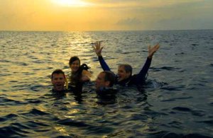 Four divers in water